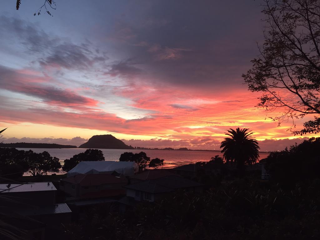 Matua Lodge Tauranga Pokoj fotografie